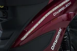 100/chameleon-side-fairing.jpg
